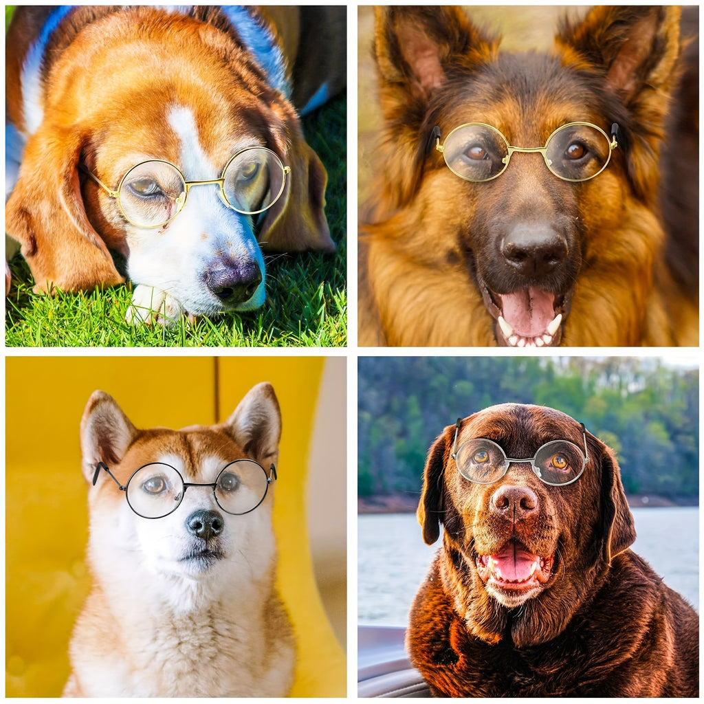 Lot de 3 Lunettes Adorables pour Animaux avec Monture en Fil Métallique & Verres Transparents - Parfaites pour Poupées, Chats, Chiens | Convient aux Poupées de 8\
